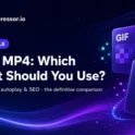 GIF vs MP4 format comparison — which should you use